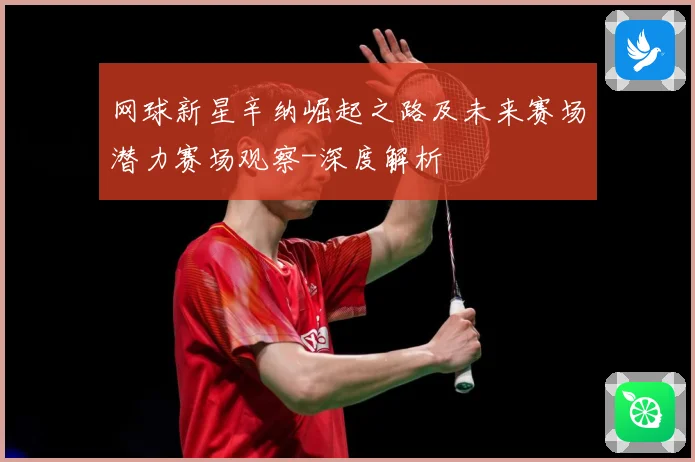 网球新星辛纳崛起之路及未来赛场潜力赛场观察-深度解析