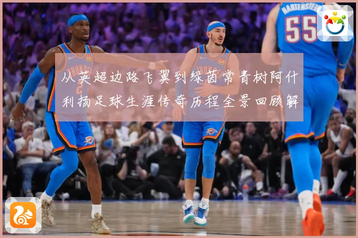 从英超边路飞翼到绿茵常青树阿什利扬足球生涯传奇历程全景回顾解析-深度解析