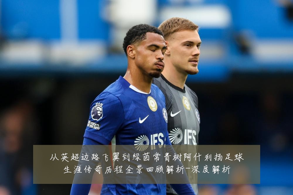 从英超边路飞翼到绿茵常青树阿什利扬足球生涯传奇历程全景回顾解析-深度解析